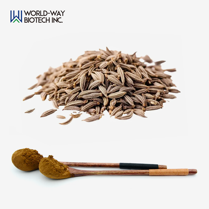 Caraway Seed Extract Caraway Seed Extract